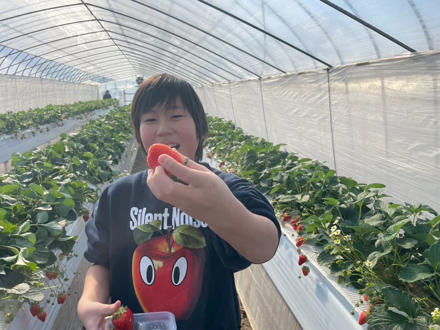 いちご狩りに行きました
